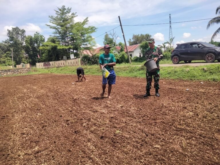 Babinsa Koramil 1426-02/Polsel, Bantu Petani Siapkan Lahan Penyemaian Bibit Penaburan Benih Padi