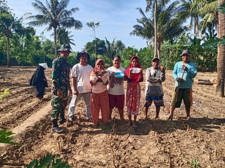 Babinsa Desa Selaparang Dampingi Penanaman Bibit Jagung di Desa Labuhan Lombok