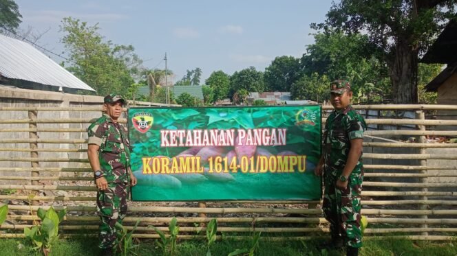 
					Koramil 1614-01/Dompu Manfaatkan Lahan Kosong untuk Ketahanan Pangan dengan Penanaman Sayuran