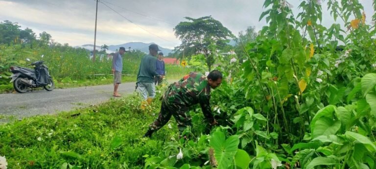 Ciptakan Lingkungan Bersih Babinsa Koramil 01/Lasolo Bersama Warga Melaksanakan Kerja Bakti