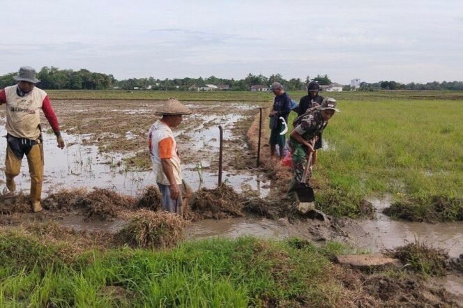 
					Memasuki Musim Tanam Padi, Babinsa Kodim 1407/Bone Bersama Warga kerja Bakti Perbaikan Saluran Irigasi