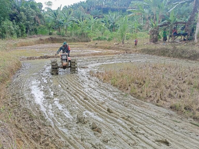 Garda Depan Ketahanan Pangan, Babinsa Bantu Petani Olah Sawah dengan Teknologi Modern