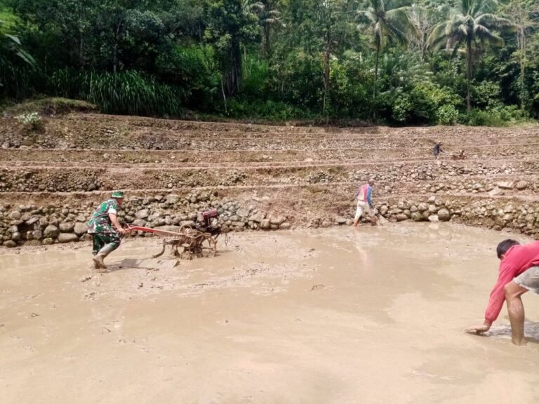 Babinsa Tompobulu Posramil 1424-01/Buluoddo Kodim 1424/Sinjai Bantu Pengolahan Lahan Milik Petani