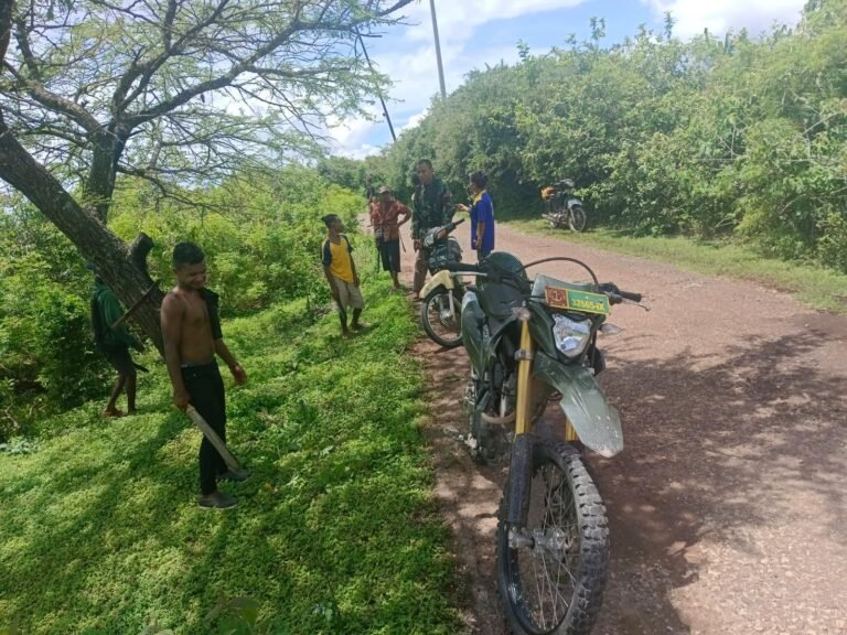 Cegah Terjadinya Kecelakaan Di Jalan, Babinsa Kodim 1621 TTS Bersama Warga Bersihkan Ranting Dan Pohon Di Pinggir Jalan