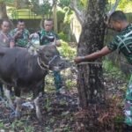 Bingkisan Natal Dandim Kupang Berbeda, Berisi Daging Sapi