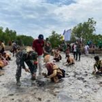 Melalui Penanaman Pohon Mangrove, Babinsa Koramil 01/Lasolo Bentuk Kepedulian Lingkungan dan Perbaikan Ekosistem