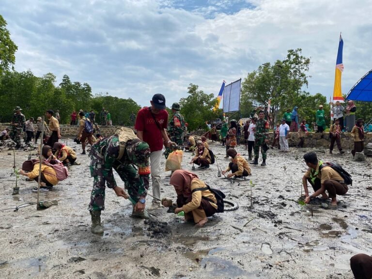 Melalui Penanaman Pohon Mangrove, Babinsa Koramil 01/Lasolo Bentuk Kepedulian Lingkungan dan Perbaikan Ekosistem