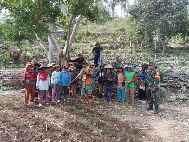 Siapkan Lahan Tanam, Babinsa Pejukutan Dongkrak Dan Motivasi Petani