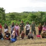 Bangkitkan Semangat Petani di Dusun Galung Paara, Kodim 1401/Majene Pelopori Budidaya Bawang Merah