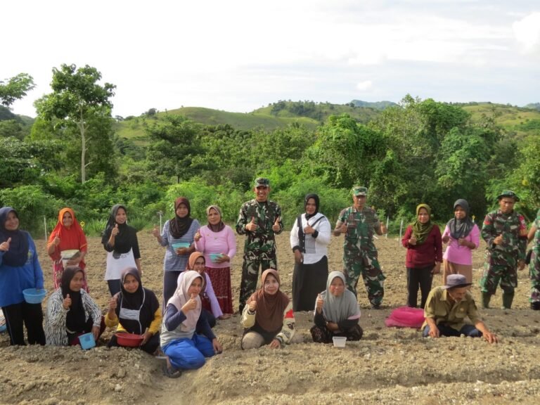 Bangkitkan Semangat Petani di Dusun Galung Paara, Kodim 1401/Majene Pelopori Budidaya Bawang Merah