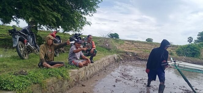 
					Babinsa Koramil 1425-05/Batang Komsos Dengan Petani Di Sawah