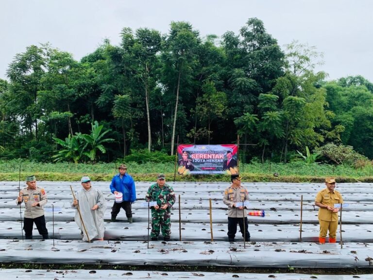 Dandim 1612/Manggarai Dukung Ketahanan Pangan Nasional, Tanam Jagung Serentak di 1 Juta Hektar