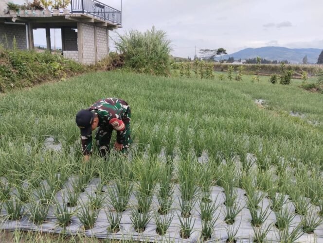 
					Bantu Warga Dapatkan Air Bersih, Babinsa Bantu Warga Pasang Pipa Saluran Air.