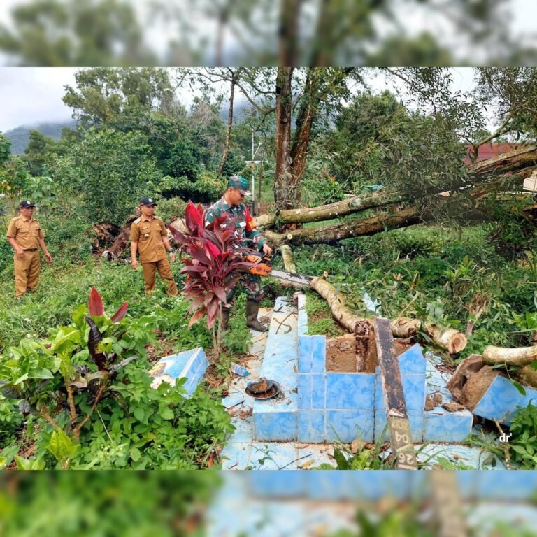 Babinsa Pangmilang Bersama Warga Bergotong Royong Bersihkan Pohon Tumbang Akibat Angin Kencang.