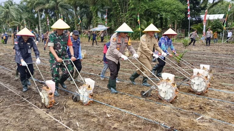 Brigjen TNI Rachmad Zulkarnaen Hadiri Launching Penanaman Jagung Serentak 1 Juta Hektar di Seluma