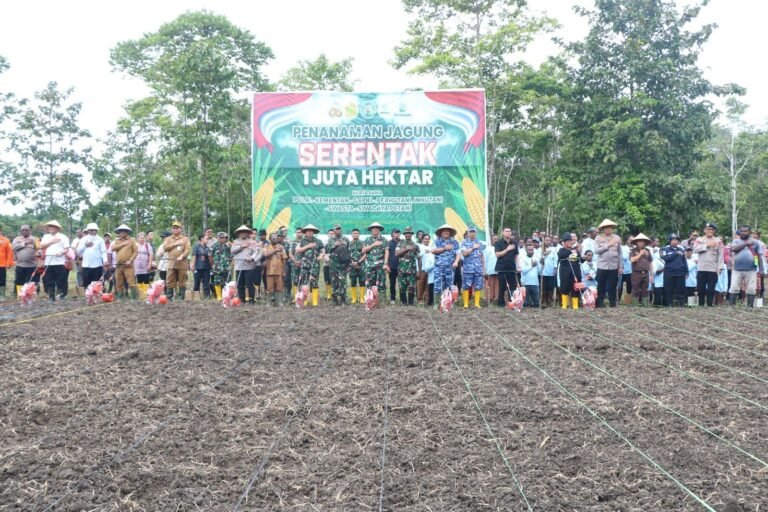 Sinergi TNI AU dan Forkopimda Jayapura Dorong Swasembada Pangan di Papua