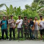 Babinsa Kodim 1427/Pasangkayu Bersama Bhabinkamtibmas dan Warga Bersihkan Parit di Dusun Palasari, Desa Motu