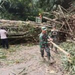 Tanggap Bencana, Anggota Koramil Bersama Warga Sigap Bersihkan Timbunan Tanah Longsor dan Pohon Bambu Yang Menutupi Jalan