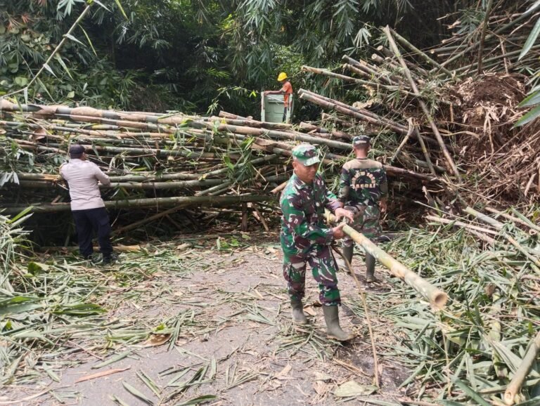 Tanggap Bencana, Anggota Koramil Bersama Warga Sigap Bersihkan Timbunan Tanah Longsor dan Pohon Bambu Yang Menutupi Jalan