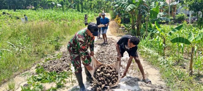 
Babinsa Kodim 1621 TTS Bersama Warga Binaan Gotong Royong Perbaiki Jalan Yang Rusak Di Desa Naukae TTS