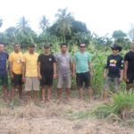 Dukung Ketahanan Pangan, Anggota Staf Dan Unit Inteldim Kupang Bersihkan Kebun Jagung