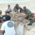 Wujudkan Pantai Bersih Dan Asri, Babinsa Bersama Pemdes Jungutbatu Gelar Aksi Bersih-Bersih