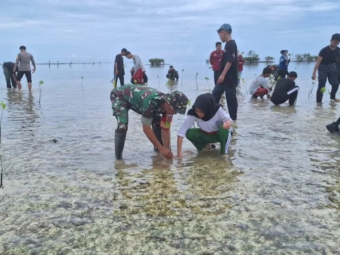 
					Wujud Nyata Kepedulian Lingkungan, Babinsa Kodim 1401/Majene Ajak Pelajar Hijaukan Pesisir Dengan Mangrove