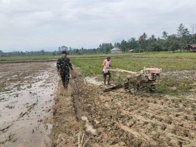 
					Babinsa Koramil 02/Asera Laksanakan Pemantauan Wilayah
