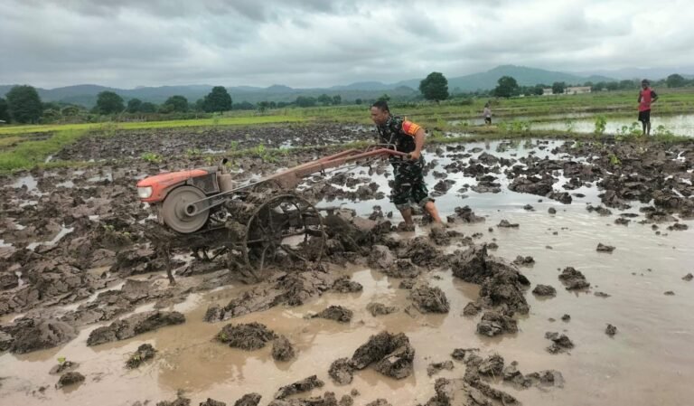 Aksi Nyata Babinsa Koramil 1618-06/Bian, Dukung Petani Dengan Membajak Sawah Di Desa Binaan