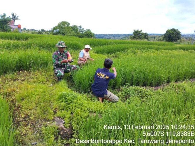 
					Komitmen Koramil 1425-05/Batang Sukseskan Swasembada Pangan