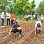 Kodim 1623/Karangasem Dukung Ketahanan Pangan Melalui Penanaman Padi Gogo