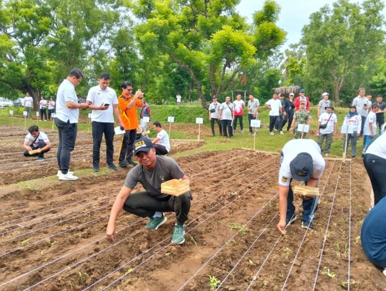 Kodim 1623/Karangasem Dukung Ketahanan Pangan Melalui Penanaman Padi Gogo