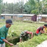 Cegah Banjir dan DBD, Babinsa Kodim 1427/Pasangkayu Bersama Pemdes Motu Gelar Kerja Bakti Bersihkan Selokan