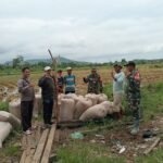 Babinsa Maros Dampingi Kepala Gudang Bulog Sosialisasi Harga Gabah Kering