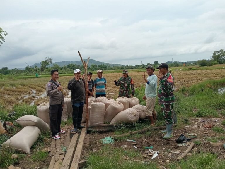 Babinsa Maros Dampingi Kepala Gudang Bulog Sosialisasi Harga Gabah Kering