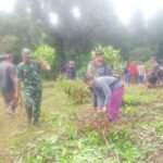 Babinsa dan Bhabinkamtibmas Bersama Warga Desa Pengotan Gotong Royong Persiapan Upacara Ngaben Massal