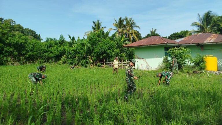 Koramil Naikliu Laksanakan Pembersihan Lahan Ketahanan Pangan