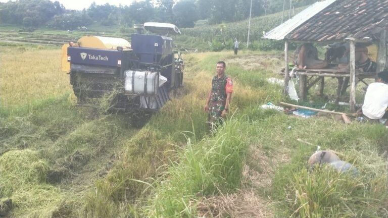 Babinsa Manggeasi melaksanakan pendampingan bagi petani