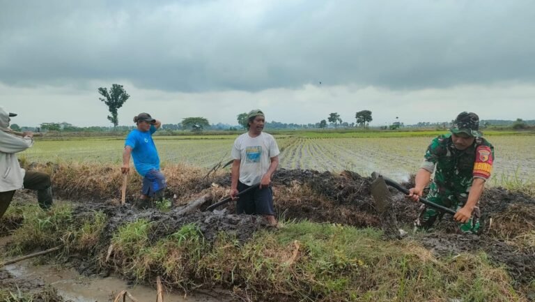 Kolaborasi Babinsa Kedungrejo dan Petani: Saluran Irigasi Perintis Kini Lebih Lancar