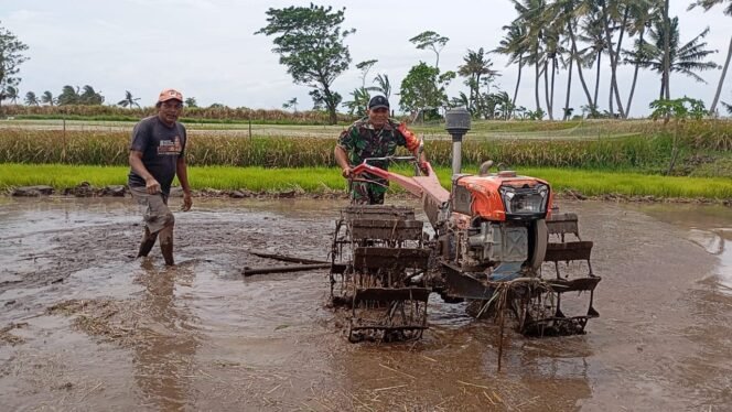 
					Sinergisitas TNI dan Petani: Babinsa Tempeh Kidul Percepat Luas Tambah Tanam