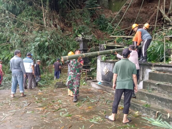 
					Pohon Bambu Tumbang, Babinsa Akah Bersama BPBD Dan Warga Bersatu Gelar Penanganan