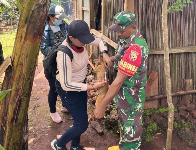 
Babinsa Oesena Dampingi Vaksinasi Rabies di Amarasi