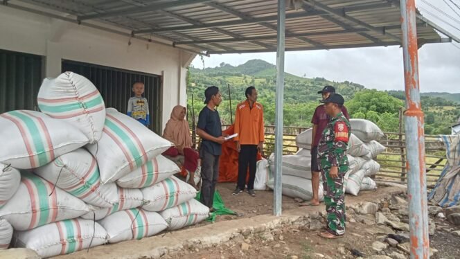 
					Babinsa Desa Daha melaksanakan pendampingam serap gabah di Desa Daha