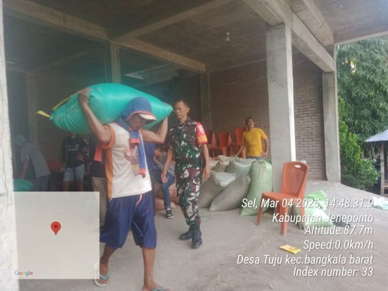 Personel Kodim 1425/Jeneponto Giat Pendampingan Penyerapan Gabah Petani Oleh Bulog