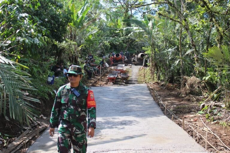 Dansatgas TMMD Ke-123 Kodim 1619/Tabanan Tinjau Perkembangan Pembangunan