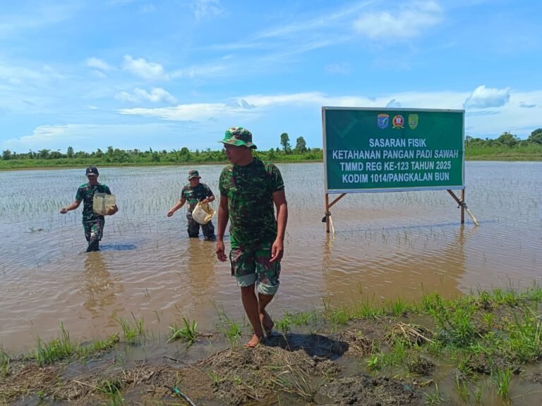 Satgas TMMD Ke-123 Kodim 1014/Pbn Lakukan Perawatan Tanaman Demi Hasil Panen Optimal