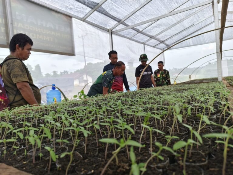 Perawatan Intensif Satgas TMMD Pastikan Keberhasilan Bibit Hortikultura