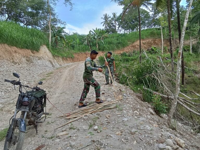 Hijaukan Desa! Satgas TMMD ke-123 Kodim 1424/Sinjai Tanam Pohon di Sepanjang Jalan yang Diperlebar