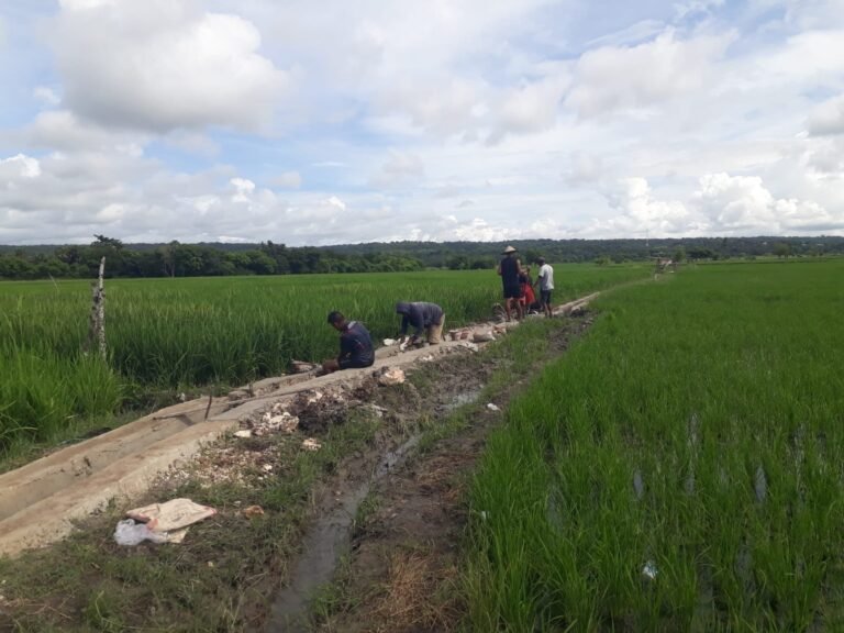 Sasaran Irigasi TMMD ke-123 Kodim 1601/Sumba Timur di Desa Kaliuda Terus Dikebut