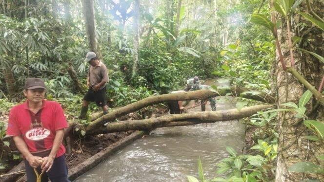 
					Untuk Memastikan Aliran Air Tetap Lancar, Babinsa Bersama Warga Gotong Royong Pembersihan Saluran Irigasi Menuju Subak Gede Tanpadeha
